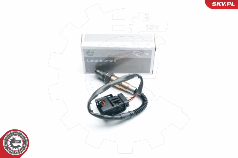 Oxygen Sensor